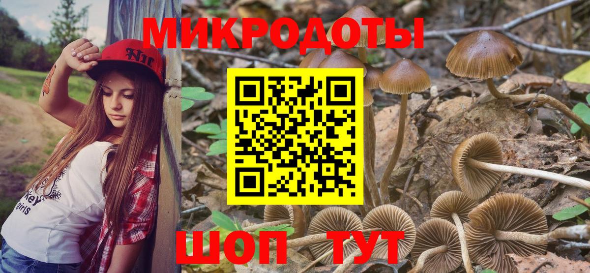 Обнинск  Псилоцибиновые грибы мухоморы  Вход с VPN 